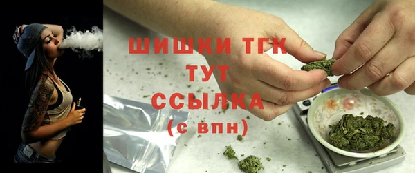 PSILOCYBIN Балахна