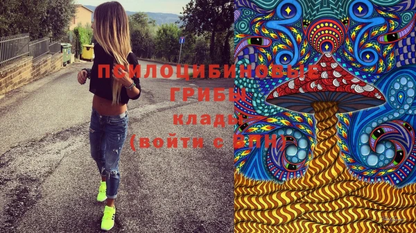 соль курить ск Няндома