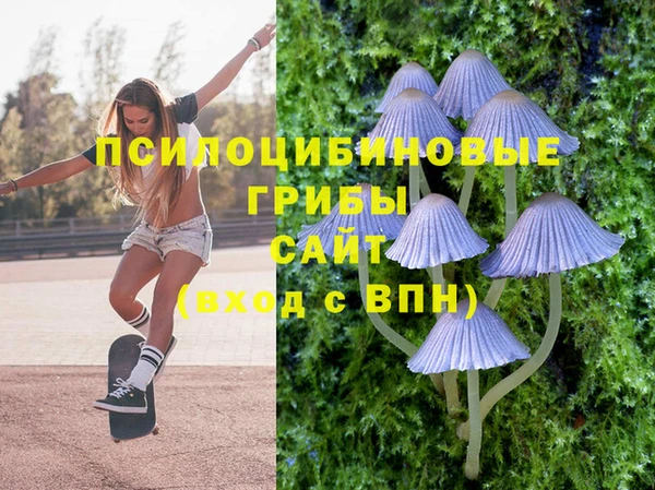 PSILOCYBIN Балахна