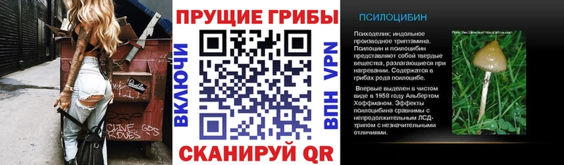 Галлюциногенные грибы прущие грибы  кракен ссылки  Калининец 