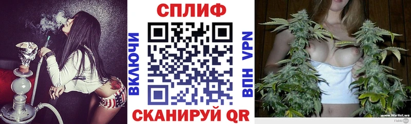 Каннабис планчик  MEGA ТОР  Калининец 